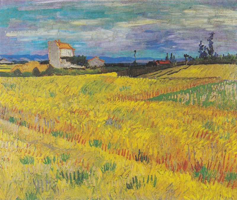 Viljapelto - Vincent van Gogh
