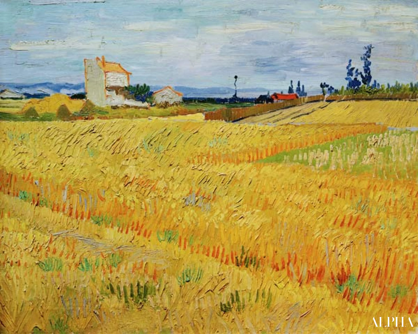 Viljakenttä - Van Gogh - Korkealaatuiset taulujen ja maalauksien reproduktiot