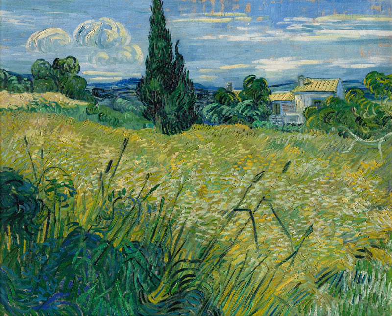 Vihreä viljapelto ja sypressi - Vincent van Gogh