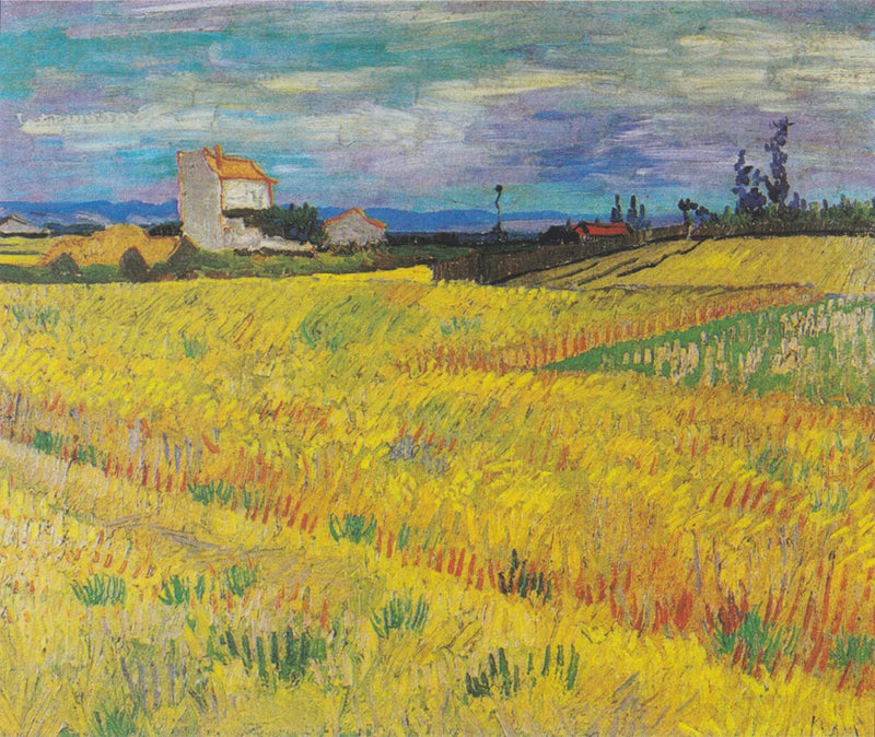 Viljapelto - Vincent van Gogh