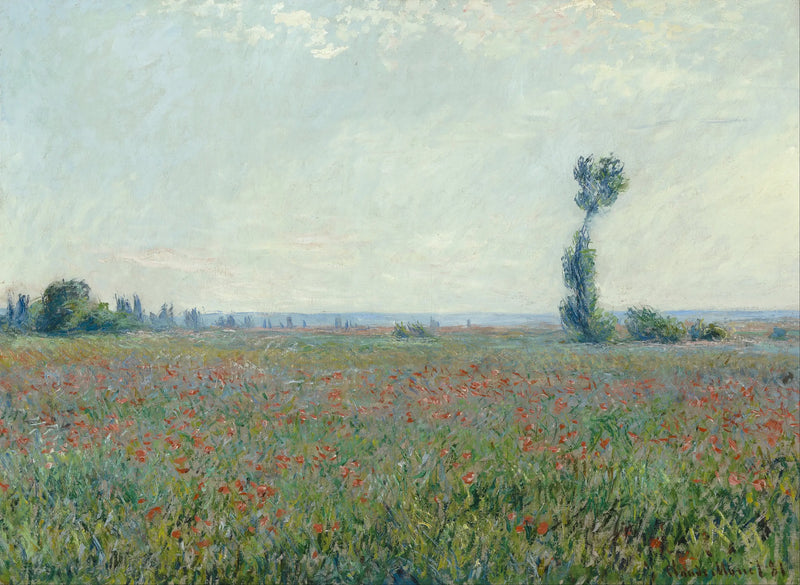 Unikkojen pelto - Claude Monet