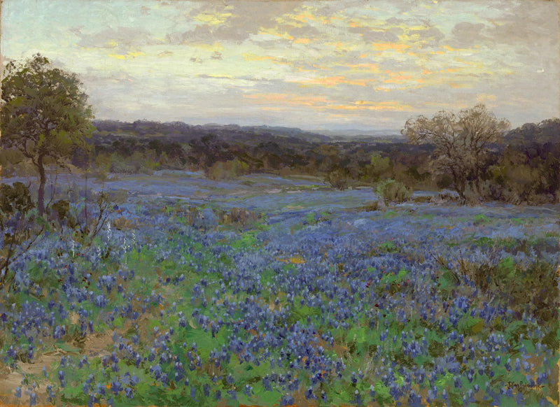 Sinisten lupiinien pelto auringonlaskun aikaan - Julian Onderdonk
