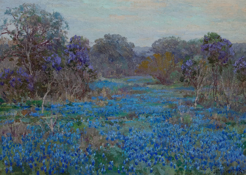 Sinisten lupiinien pelto puiden keskellä - Julian Onderdonk