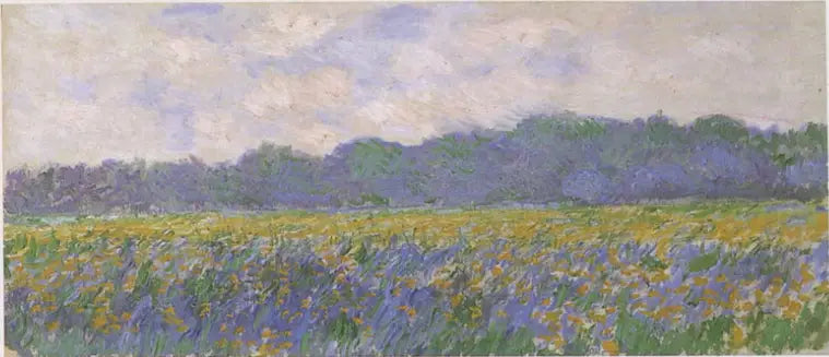 Keltaiset iirikset Givernyssä - Claude Monet