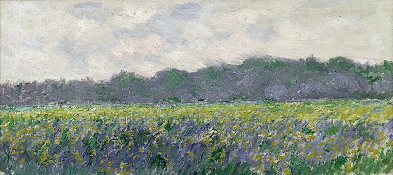 Keltainen iiriskenttä Giverny W1137:ssä - Claude Monet
