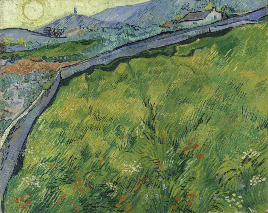 Kevätvehnäpelto auringonnousun aikaan - Vincent van Gogh
