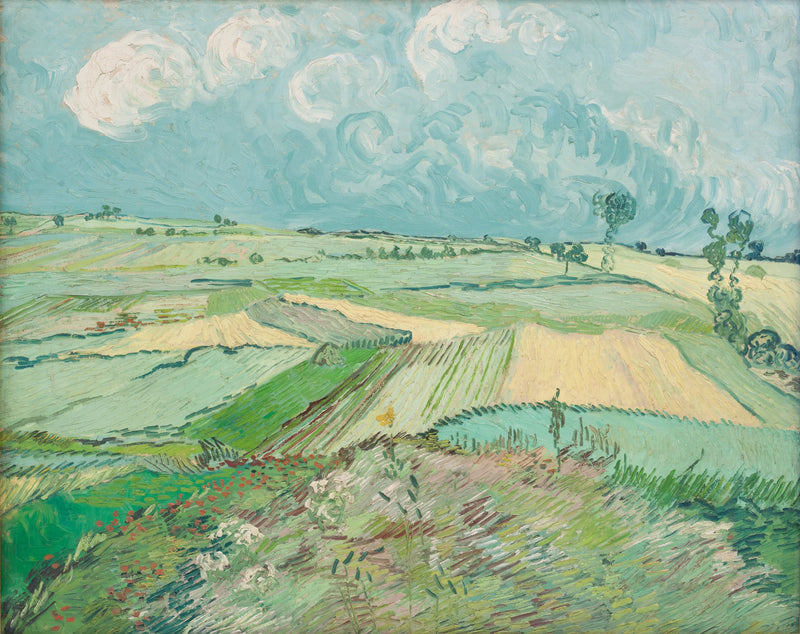 Viljapellot sateen jälkeen - Vincent van Gogh