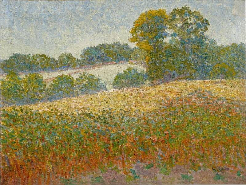 Kukkatarha - Gustave Loiseau