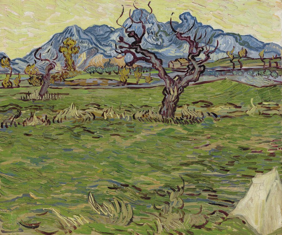 Peltoja Alpillesin lähellä - Vincent van Gogh
