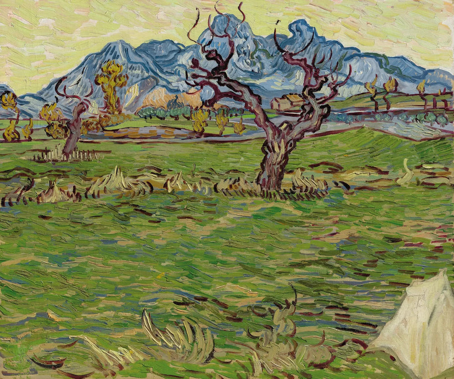 Peltoja Alpillesin lähellä - Vincent van Gogh