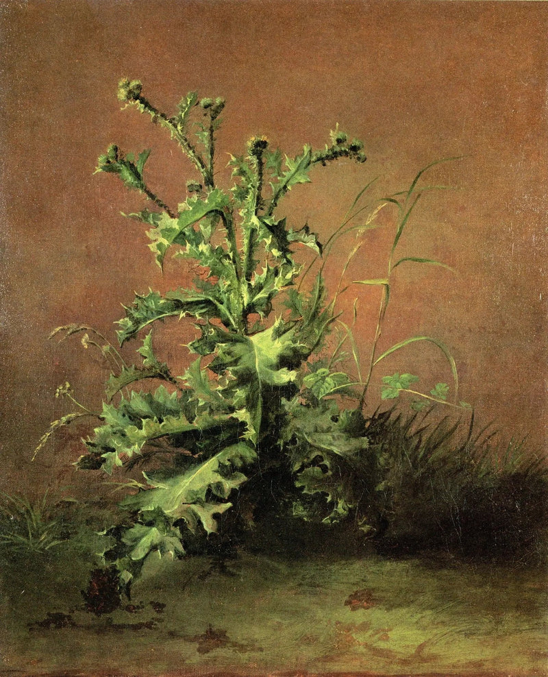 Ohdakkeet - Édouard Manet