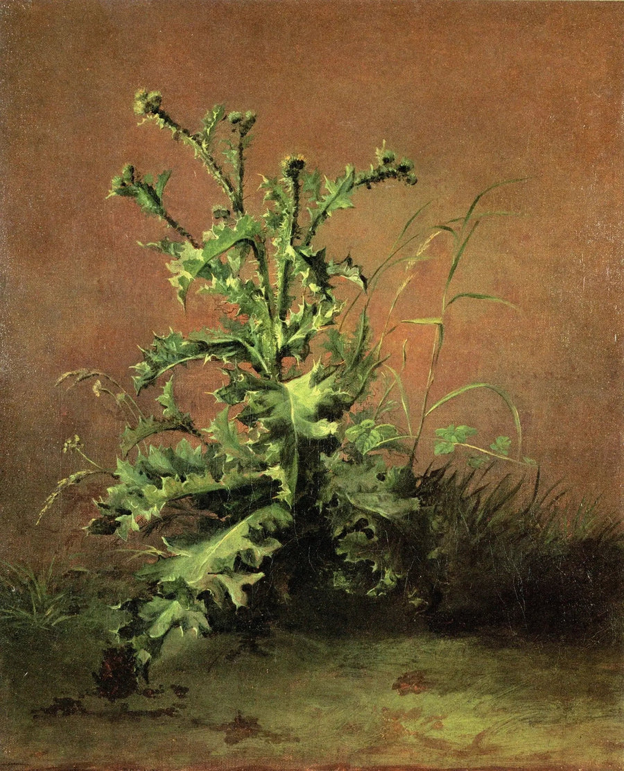 Ohdakkeet - Édouard Manet