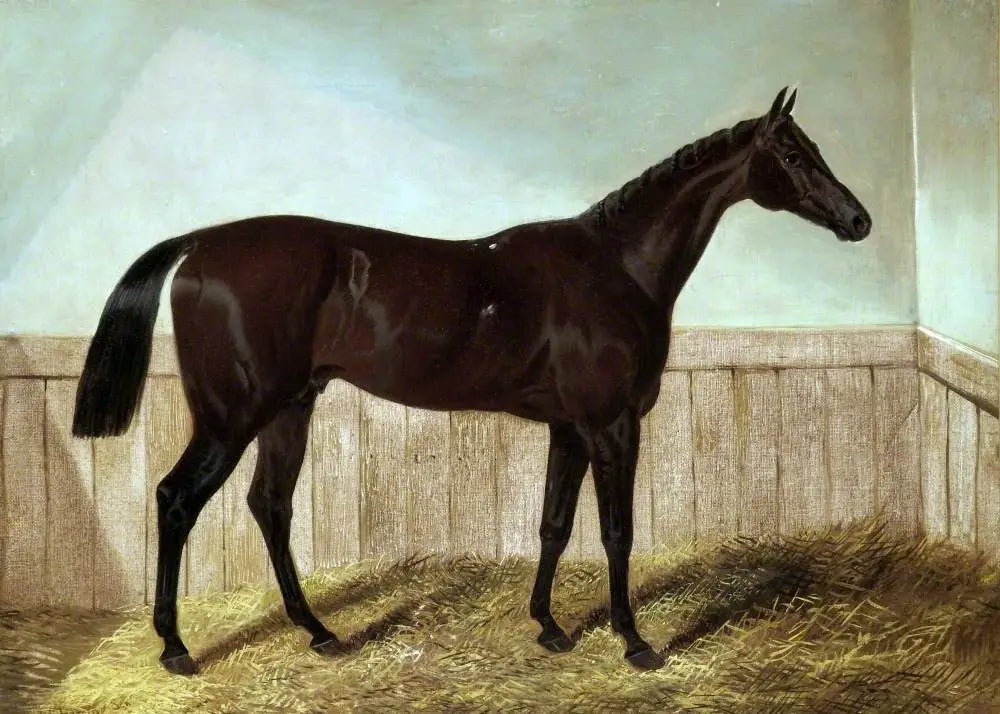 Charles XII - John Frederick Herring Sr. - Alpha Reproduction
