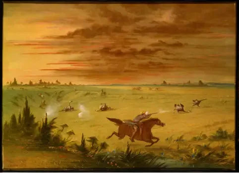 Strutsijahdys, Buenos Aires - Auca - George Catlin