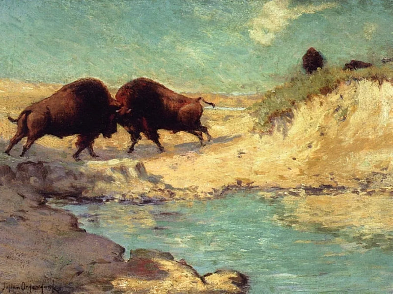 Bisoninjahti - Julian Onderdonk