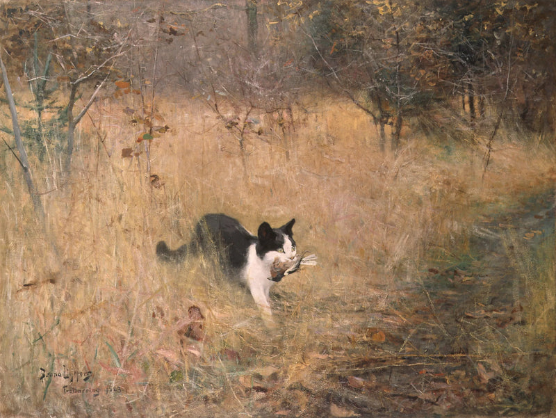 Kissa jahtaa lintuja - Bruno Liljefors