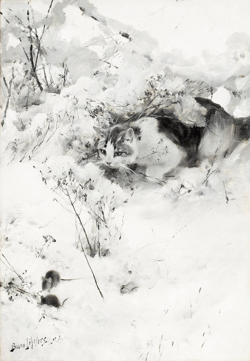 Vainoava kissa - Bruno Liljefors