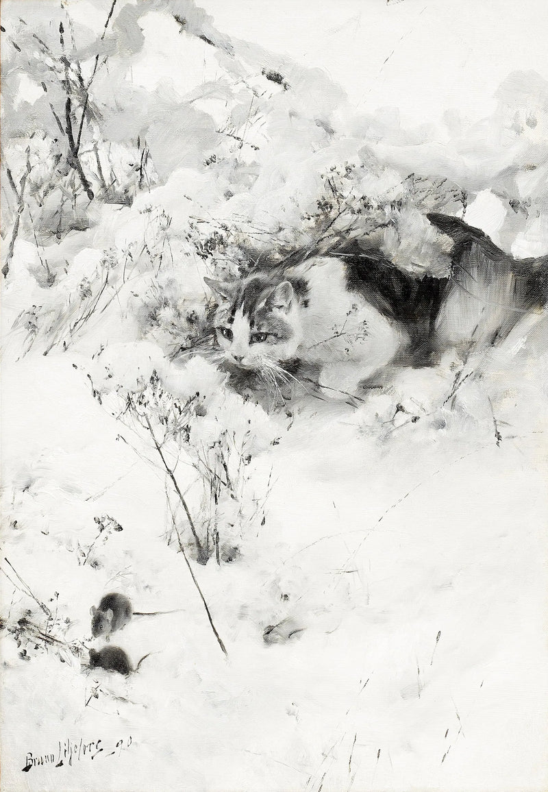 Vainoava kissa - Bruno Liljefors
