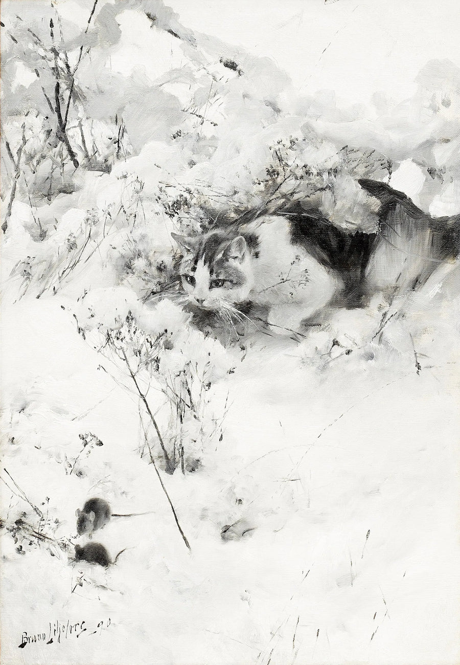 Vainoava kissa - Bruno Liljefors