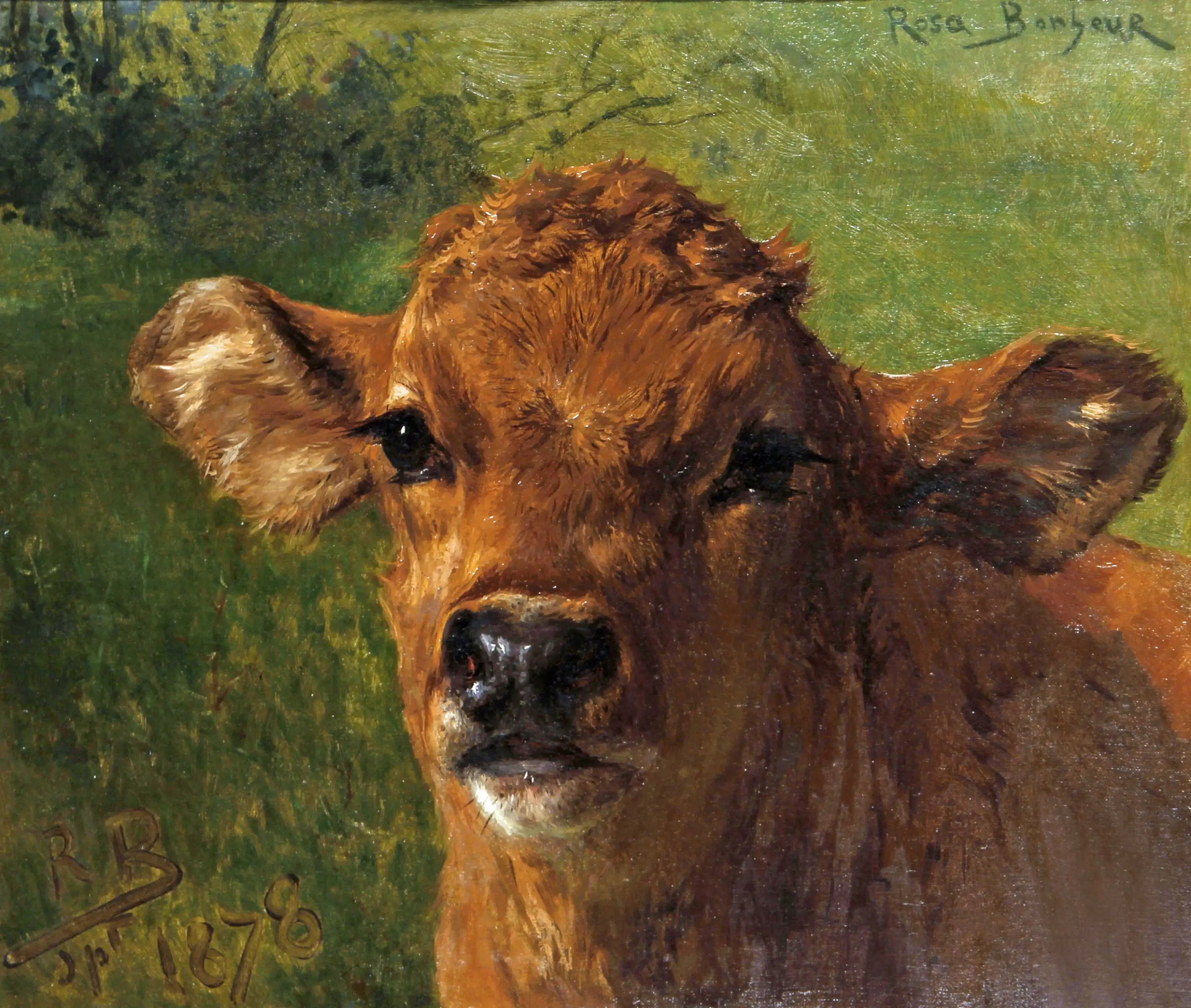 Chef d’un veau - Rosa Bonheur - Alpha Reproduction