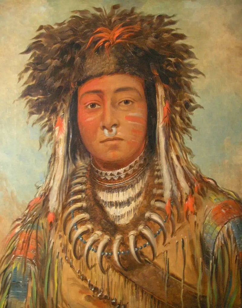 Päällikkö Poikien - Ojibbeway - George Catlin