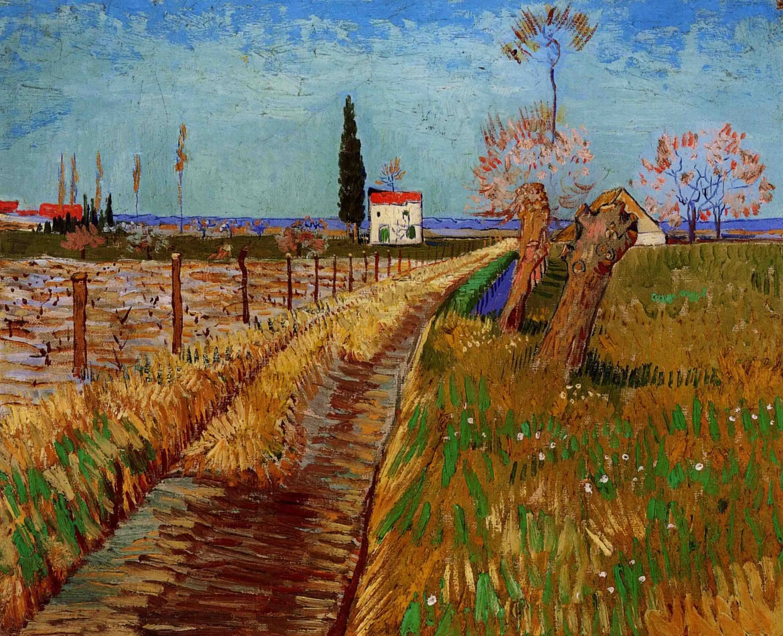 Reproduction du tableau « Chemin à travers un champ de saules - Vincent van Gogh » par Alpha Reproduction en peinture à l’huile