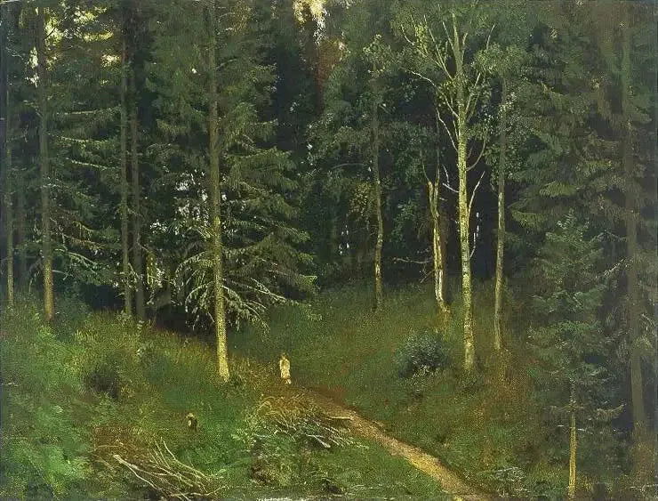 Polku metsässä (kuusimetsä) - Ivan Chichkine