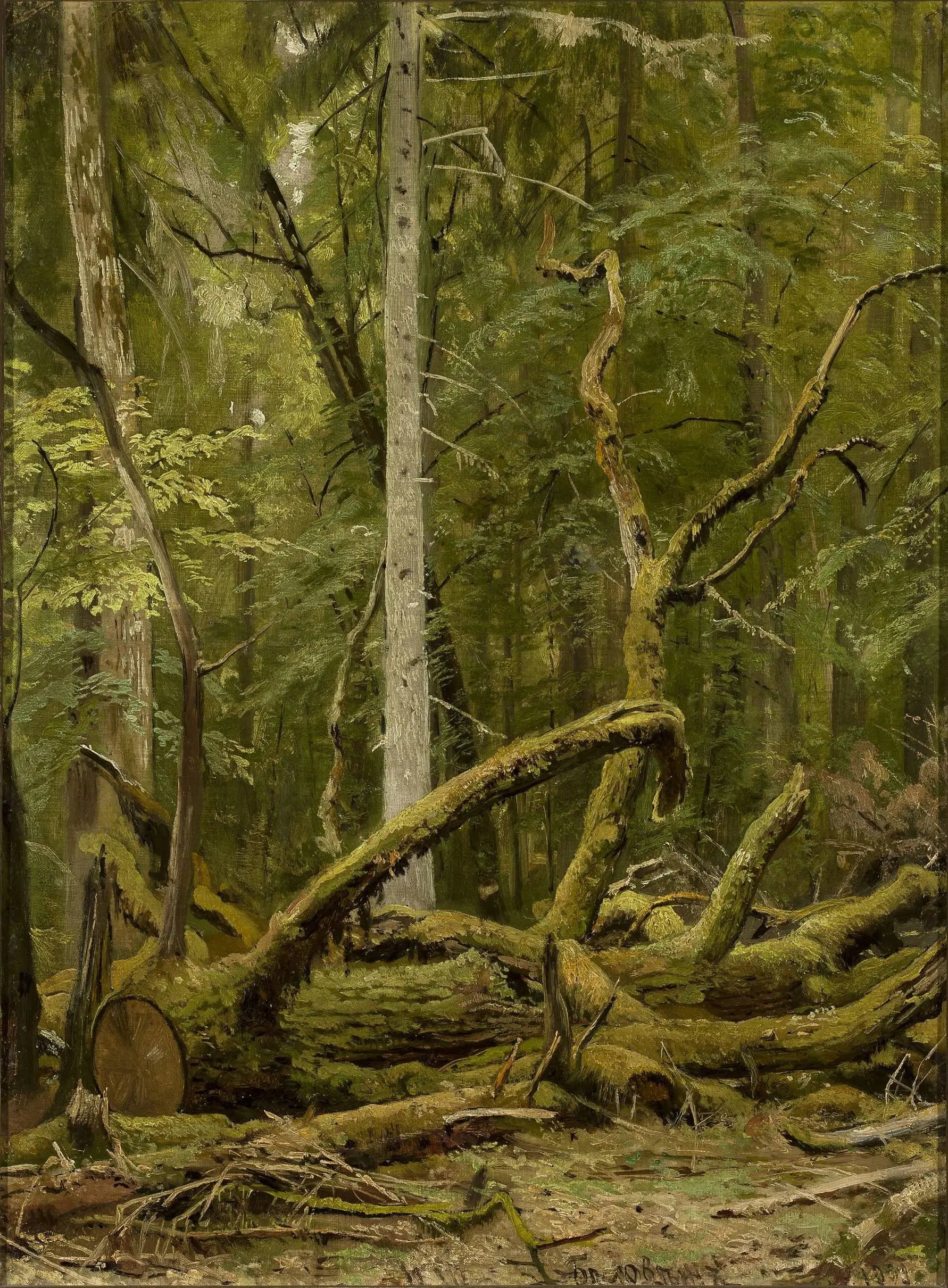 Chêne scié - Ivan Chichkine - Alpha Reproduction