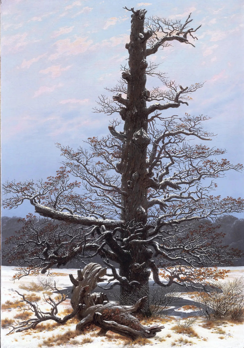 Tammi lumessa - Caspar David Friedrich