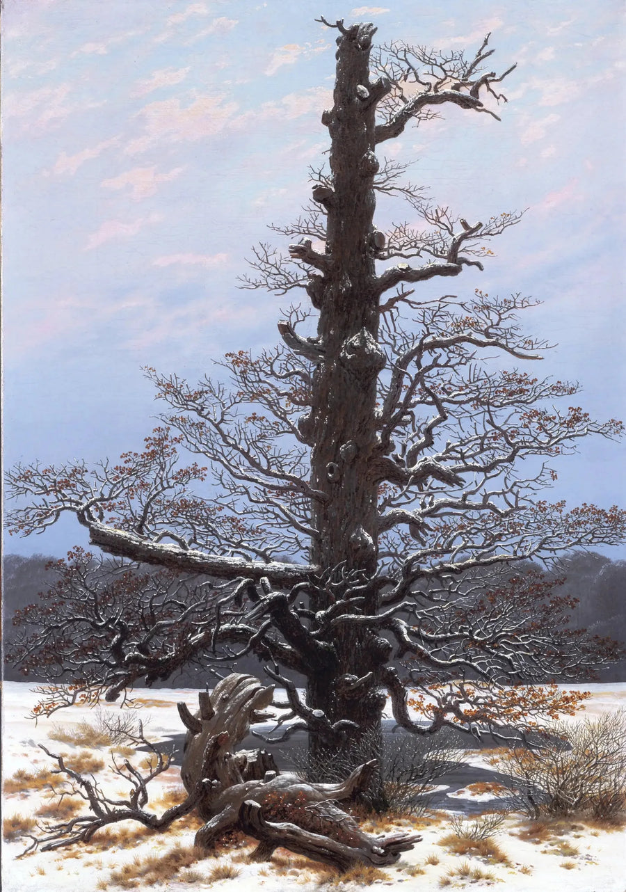 Tammi lumessa - Caspar David Friedrich