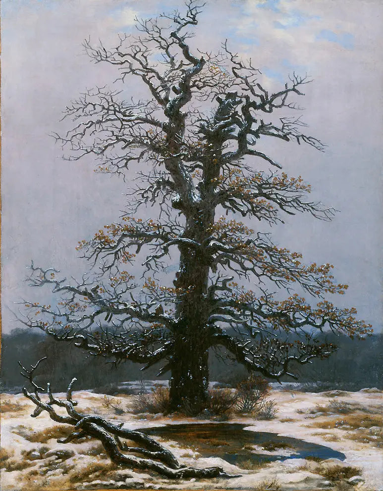 Tammi lumessa - Caspar David Friedrich