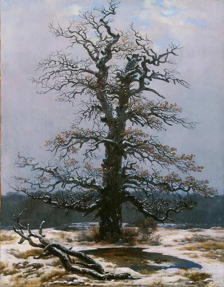 Tammi lumessa - Caspar David Friedrich