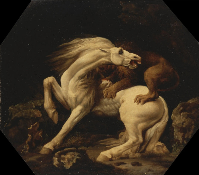 Hyökkäävä hevonen leijonan hyökkäyksessä (Jakso C) - George Stubbs