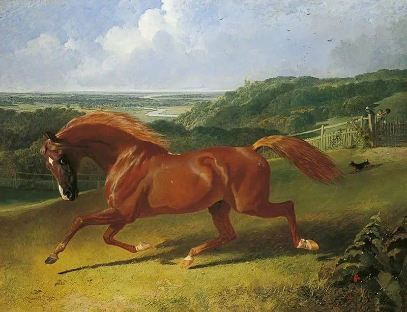 Gallopintava hevonen pellolla - John Frederick Herring, Sr.
