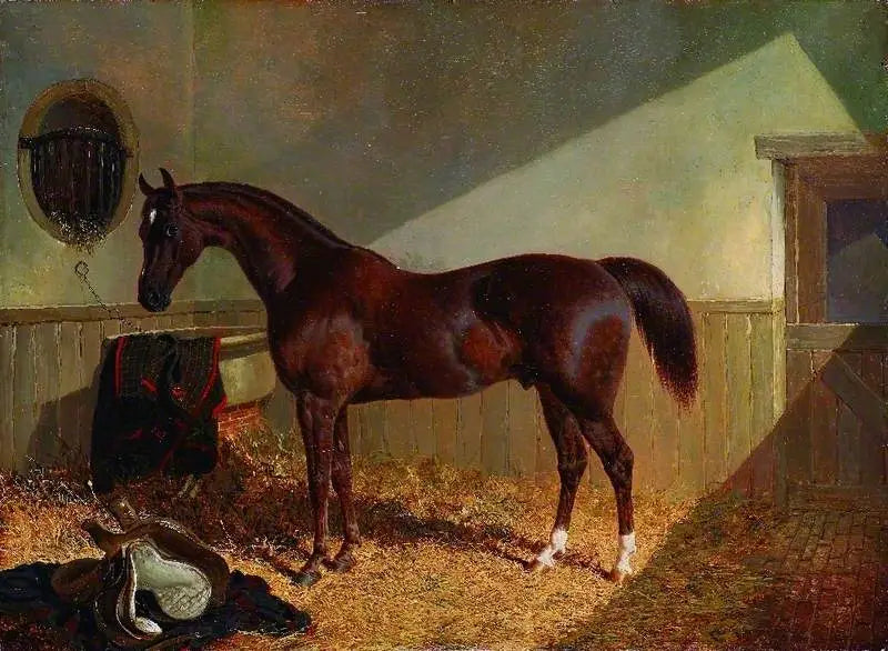 Ruskea hevonen tallissa - John Frederick Herring, Sr.