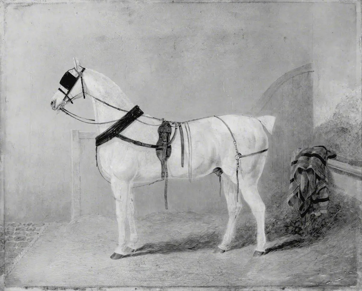 Cheval de calèche dans une écurie - John Frederick Herring Sr. - Alpha Reproduction