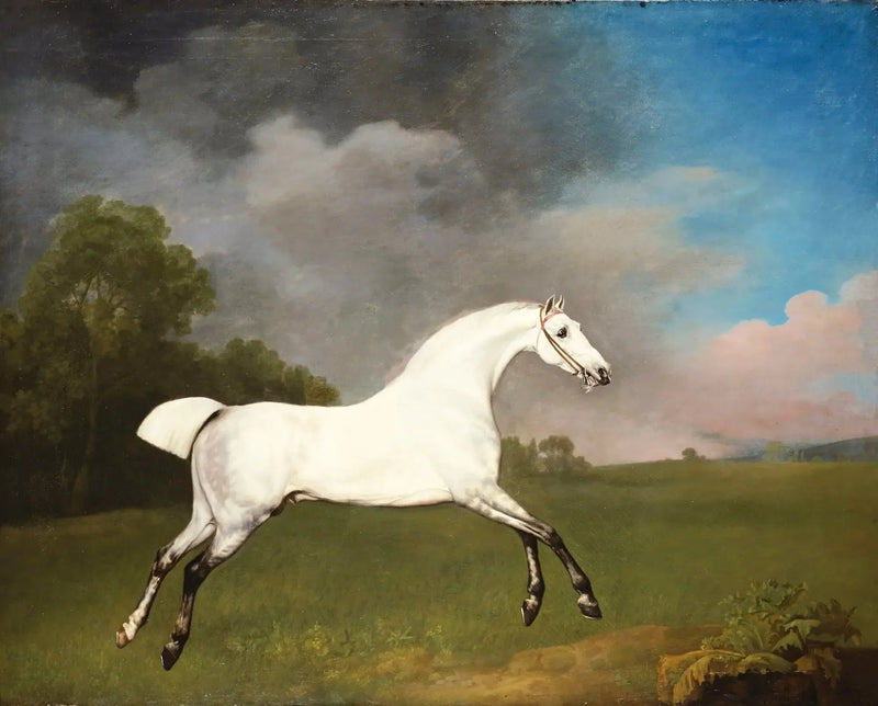 Tummanharmaa hevonen laukkaa pellolla - George Stubbs
