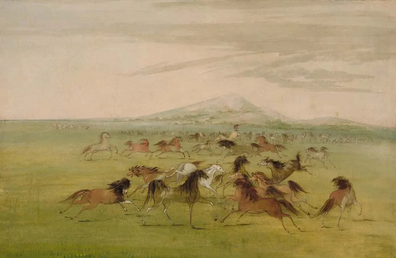 Villihevoset pelissä - George Catlin