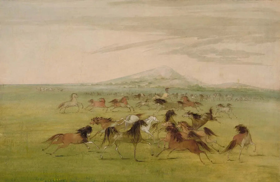 Villihevoset pelissä - George Catlin