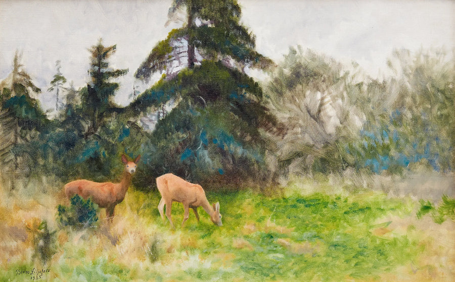 Metsäkauriita kesän vehreydessä - Bruno Liljefors