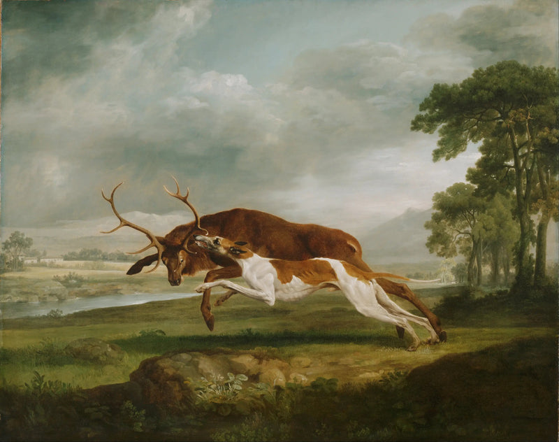 Juokseva koira jahtaa peuraa - George Stubbs