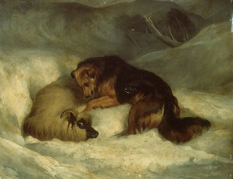 Highlandin paimenkoira lumessa (aikaisemmin tunnettu nimellä « Paimenkoira pelastamassa lammasta lumimyrskyssä ») - Edwin Henry Landseer
