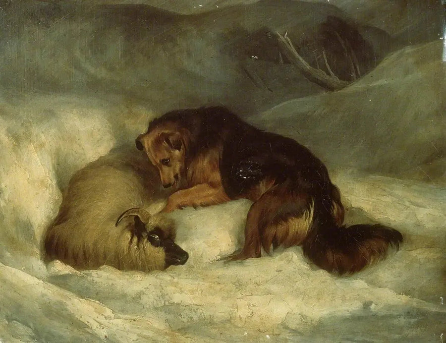 Highlandin paimenkoira lumessa (aikaisemmin tunnettu nimellä « Paimenkoira pelastamassa lammasta lumimyrskyssä ») - Edwin Henry Landseer