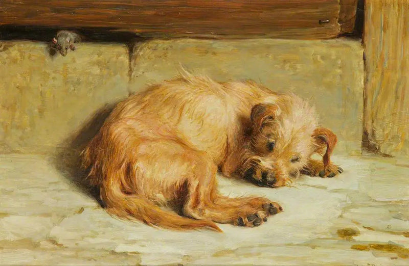 Vartiointi koira - Briton Rivière