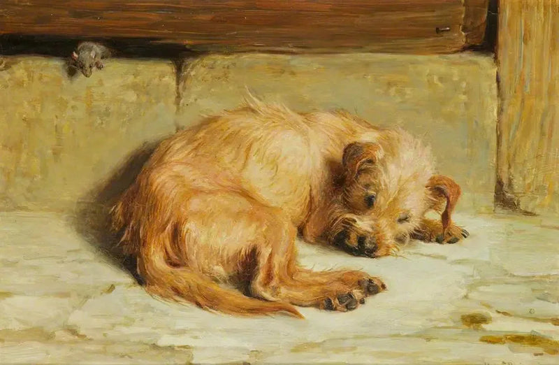 Vartiointi koira - Briton Rivière