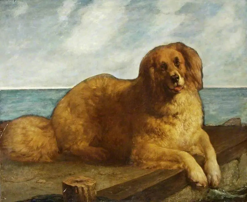 Koira - Edwin Henry Landseer