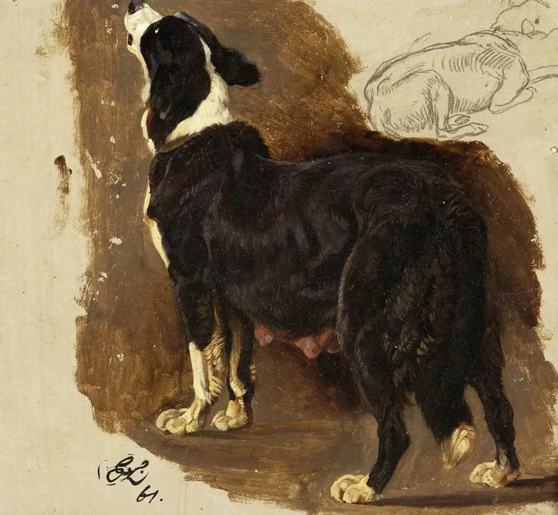 Colley-uros - Edwin Henry Landseer