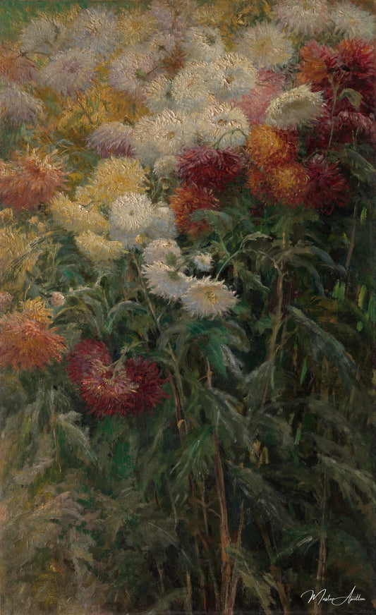 Chrysanthèmes dans le jardin du petit gennevilliers - Caillebotte - Reproductions de tableaux et peintures haut de gamme