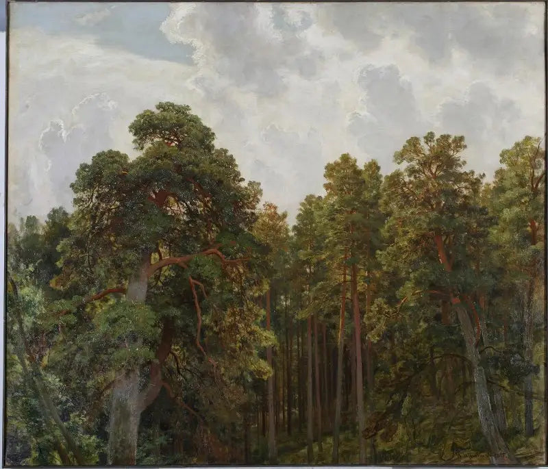 Mäntypäät - Ivan Chichkine
