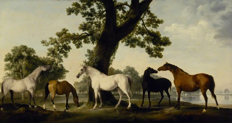 Viisi tammaa Cumberlandin herttuan kasvattamassa suurparissa Windsorissa - George Stubbs